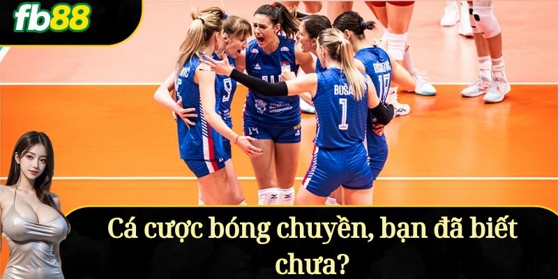 Cá cược bóng chuyền, bạn đã biết chưa?