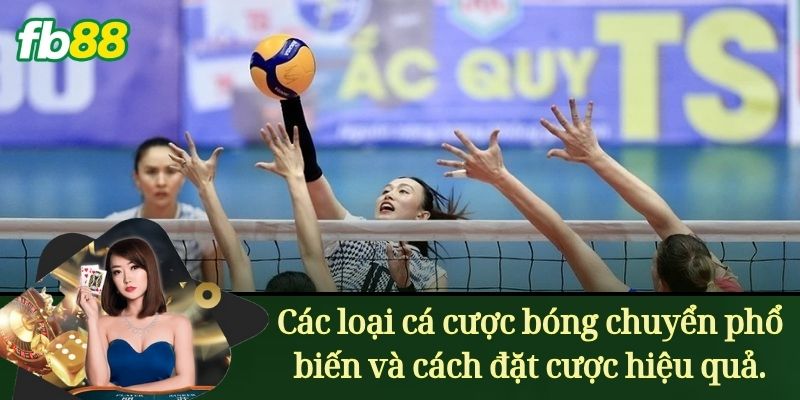 Các loại Cá cược bóng chuyền phổ biến và cách đặt cược hiệu quả.